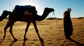 İhlasın Başı İstikamet