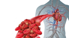 Her Yönüyle Mucize Pıhtılaşma Sistemi