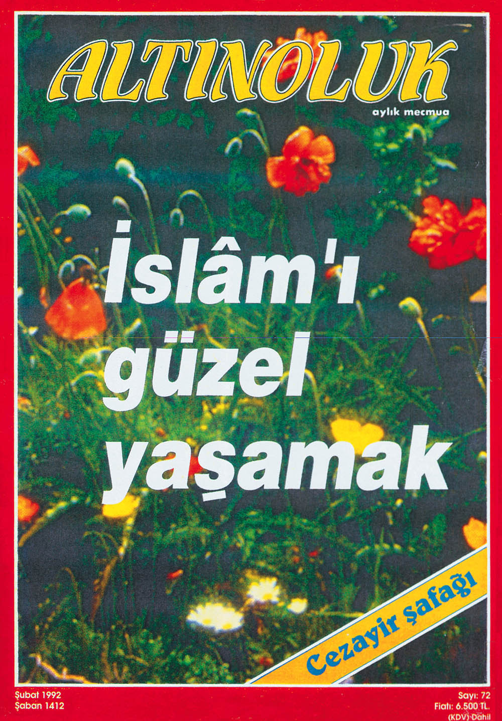 İslâm'ı Güzel Yaşamak