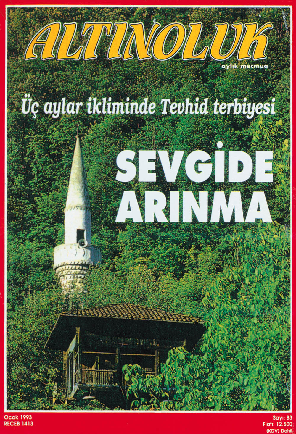 Sevgide Arınma