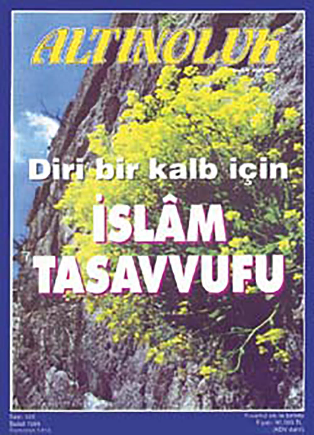 İslâm Tasavvufu