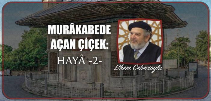 Murâkabede Açan Çiçek: Hayâ-2