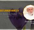 Aziz Mahmud Hüdâyî (r.a) - 29