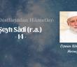 Hak Dostlarından Hikmetler Şeyh Sâdî -14-